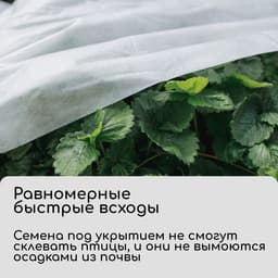 Материал укрывной, 5×1.6 м, плотность 30 г/м², спанбонд с УФ-стабилизатором, белый, Greengo, Эконом 30%