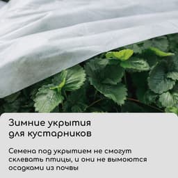 Материал укрывной, 5×1.6 м, плотность 42 г/м², спанбонд с УФ-стабилизатором, белый, Greengo, Эконом 30%