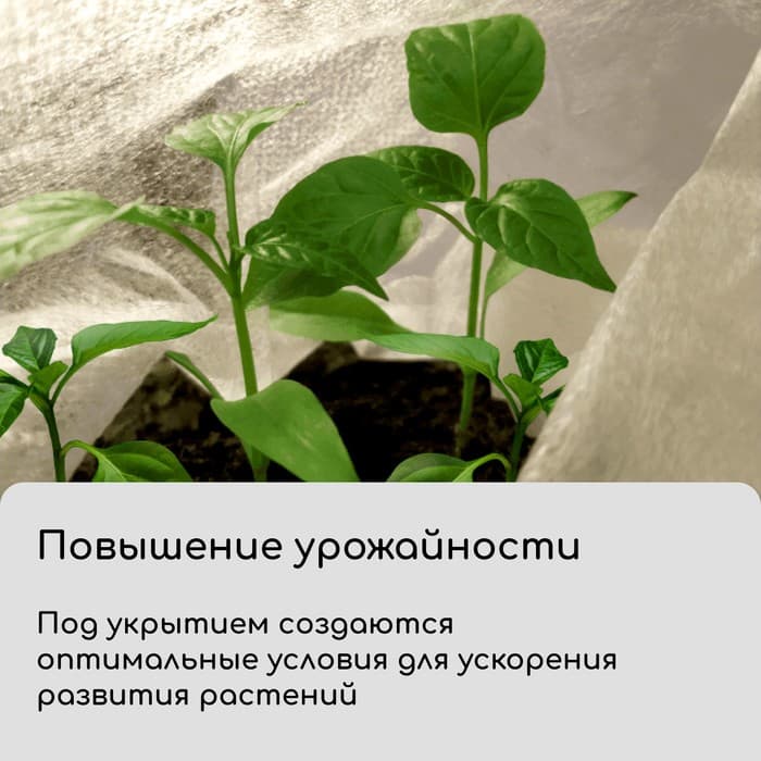 Материал укрывной, 10×3.2 м, плотность 60 г/м², спанбонд с УФ-стабилизатором, белый, Greengo, Эконом 30%