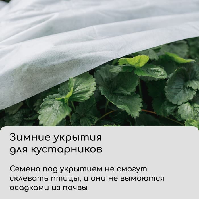 Материал укрывной, 10×3.2 м, плотность 60 г/м², спанбонд с УФ-стабилизатором, белый, Greengo, Эконом 30%