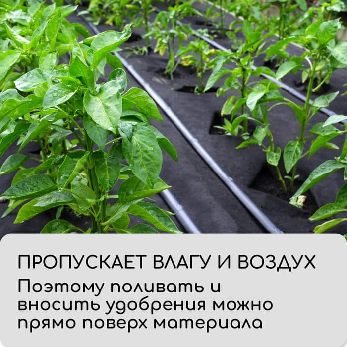 Материал мульчирующий, 10×1.6 м, плотность 60 г/м², спанбонд с УФ-стабилизатором, чёрный, Greengo, Эконом 30%