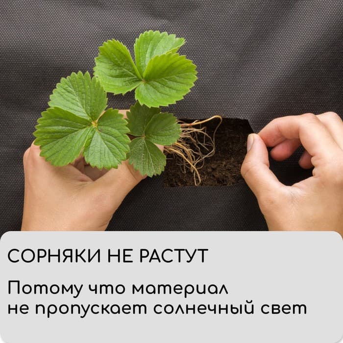 Материал мульчирующий, 10×1.6 м, плотность 60 г/м², спанбонд с УФ-стабилизатором, чёрный, Greengo, Эконом 30%
