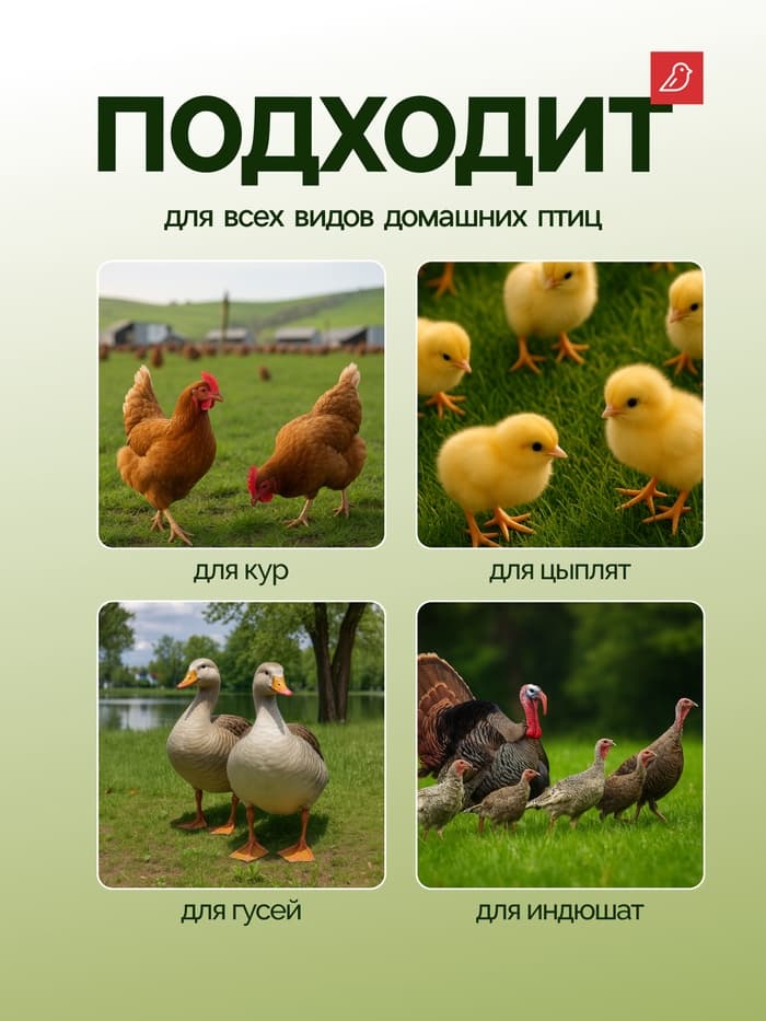 Кормушка бункерная для домашней птицы на 5 кг, цвет МИКС