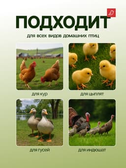 Кормушка бункерная для домашней птицы на 5 кг, цвет МИКС