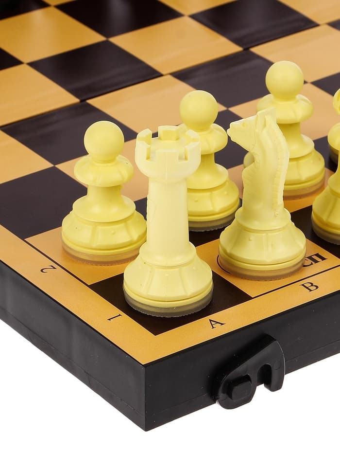 Настольные игры 2 в 1 «Семейная»: шахматы, шашки, доска пластик 30×30 см