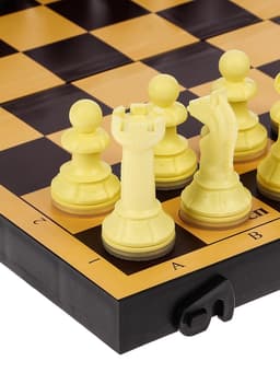Настольные игры 2 в 1 «Семейная»: шахматы, шашки, доска пластик 30×30 см