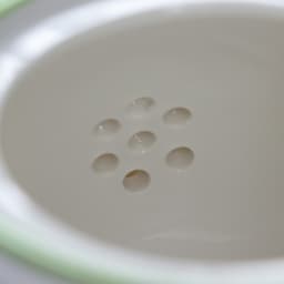 Заварочный чайник Доляна «Зелёный сад», 900 мл, фарфор, белый