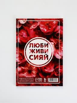 Ежедневник А5, 80 листов в тонкой обложке «Люби, живи, сияй»