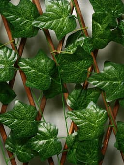 Ограждение декоративное, 200×75 см, «Лист клёна», Greengo