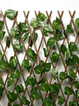 Ограждение декоративное, 200×75 см, «Лист берёзы», Greengo