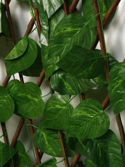 Ограждение декоративное «Лист берёзы», 120×40 см, Greengo