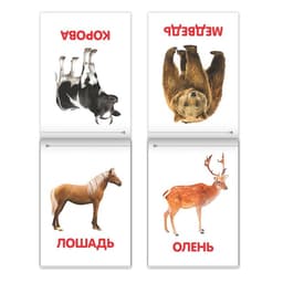 Книги «Карточки Домана на скрепке», набор, 8 шт. по 20 стр.