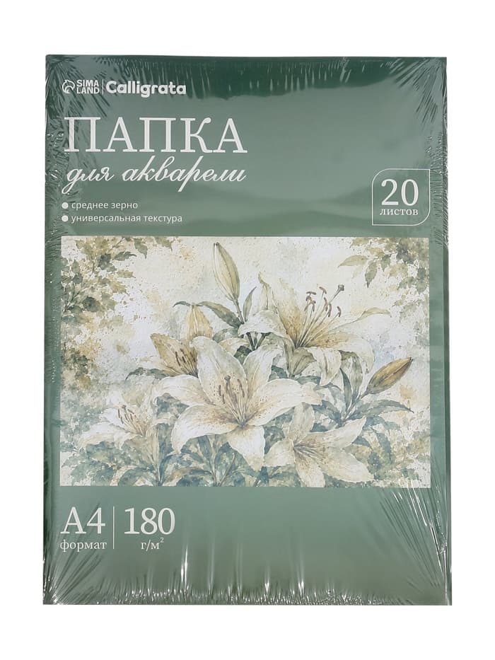 Папка для акварели А4, 20 листов «Цветы», блок 180 г/м²
