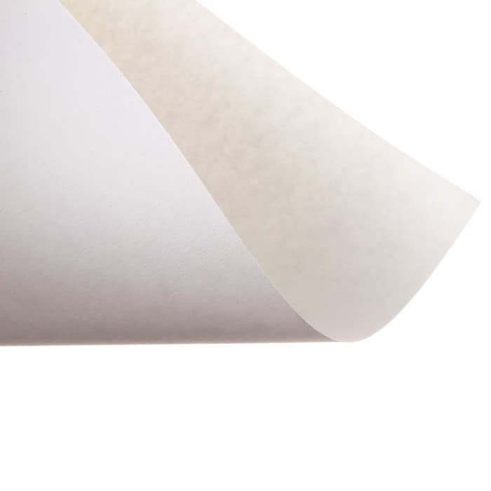 Папка для акварели А4, 10 листов «Цветы», блок 180 г/м², рисовальная