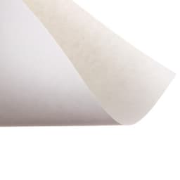 Папка для акварели А4, 10 листов «Цветы», блок 180 г/м², рисовальная