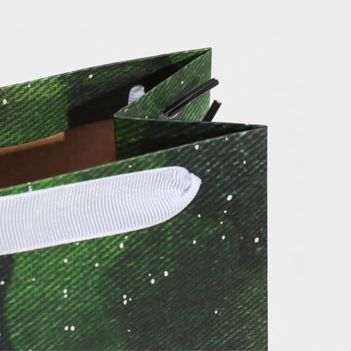 Пакет подарочный под бутылку, упаковка, «С 23 февраля», 36×13×10 см