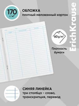 Тетрадь для записи иностранных слов ErichKrause. Hello, А5+, 48 листов, в линейку, три столбца, обложка из мелованного картона, блок офсет, МИКС