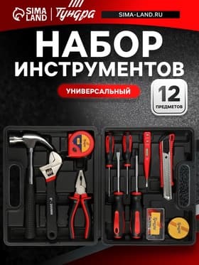 Набор инструментов в кейсе ТУНДРА, универсальный, 12 предметов