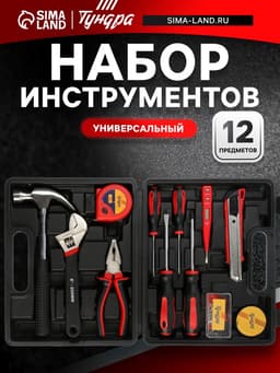 Набор инструментов в кейсе ТУНДРА, универсальный, 12 предметов