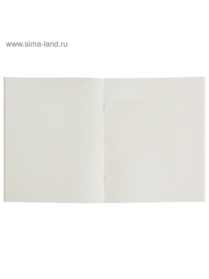 Тетрадь 48 листов в клетку, Calligrata «Авокадо», МИКС