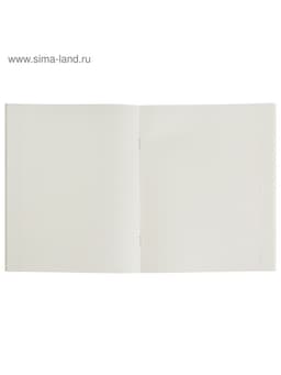 Тетрадь 48 листов в клетку, Calligrata «Авокадо», МИКС