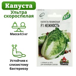 Семена Капуста пекинская «Нежность», F1, 0.1 г, «Удачные семена»