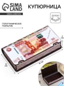 Купюрница «5000 рублей», подарочная, 18×10×3 см