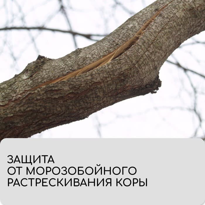 Бинт садовый, 10×0.08 м, плотность 60 г/м², спанбонд с УФ-стабилизатором, белый, Greengo, Эконом 20%