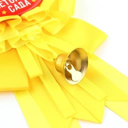 Значок - орден на выпускной «Выпускник детского сада», d=9 см