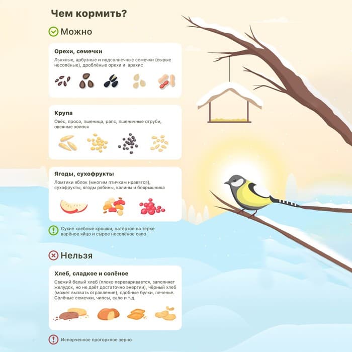 Деревянная кормушка - конструктор для птиц «Дерево», своими руками, 14.5×14.5×18 см, Greengo