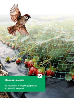Сетка садовая, 2×5 м, ячейка ромб 0.6×0.6 см, от птиц, пластиковая, цвет МИКС, Greengo, в рулоне