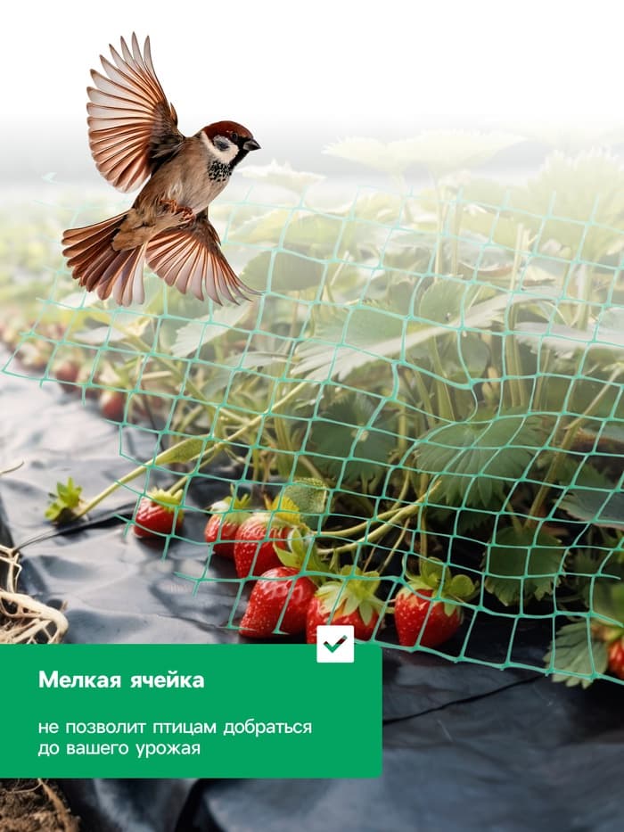 Сетка садовая, 2×10 м, ячейка ромб 6×6 мм, от птиц, пластиковая, зелёная, Greengo