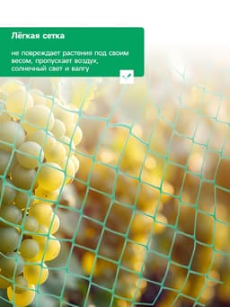 Сетка садовая, 2×10 м, ячейка ромб 6×6 мм, от птиц, пластиковая, зелёная, Greengo