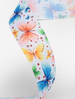 Лента репсовая «Бабочки», 25 мм, 18±1 м, разноцветная