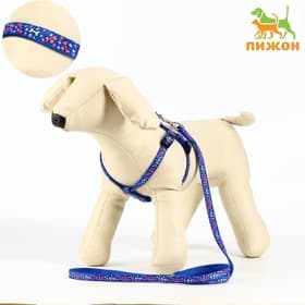 Шлейка с поводком «Звёздные косточки», 23-35 с, ширина 1 см, поводок 120 см, синяя