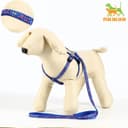 Шлейка с поводком «Звёздные косточки», 23-35 с, ширина 1 см, поводок 120 см, синяя