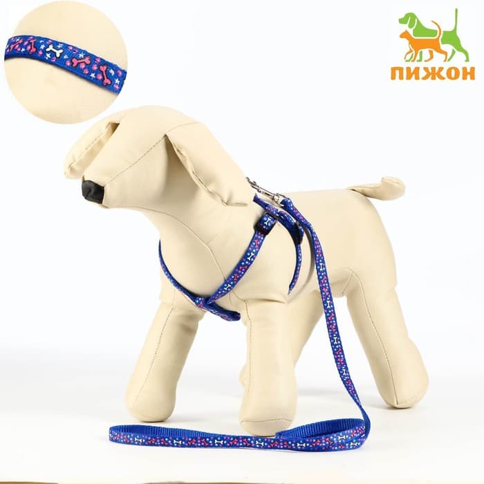 Шлейка с поводком «Звёздные косточки», 23-35 с, ширина 1 см, поводок 120 см, синяя