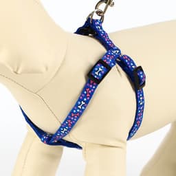 Шлейка с поводком «Звёздные косточки», 23-35 с, ширина 1 см, поводок 120 см, синяя