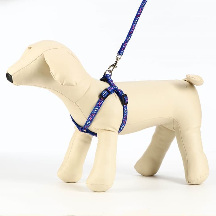 Шлейка с поводком «Звёздные косточки», 23-35 с, ширина 1 см, поводок 120 см, синяя