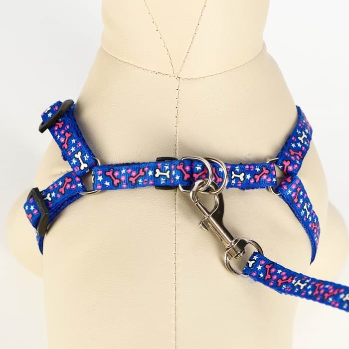 Шлейка с поводком «Звёздные косточки», 23-35 с, ширина 1 см, поводок 120 см, синяя