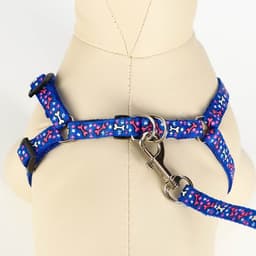 Шлейка с поводком «Звёздные косточки», 23-35 с, ширина 1 см, поводок 120 см, синяя