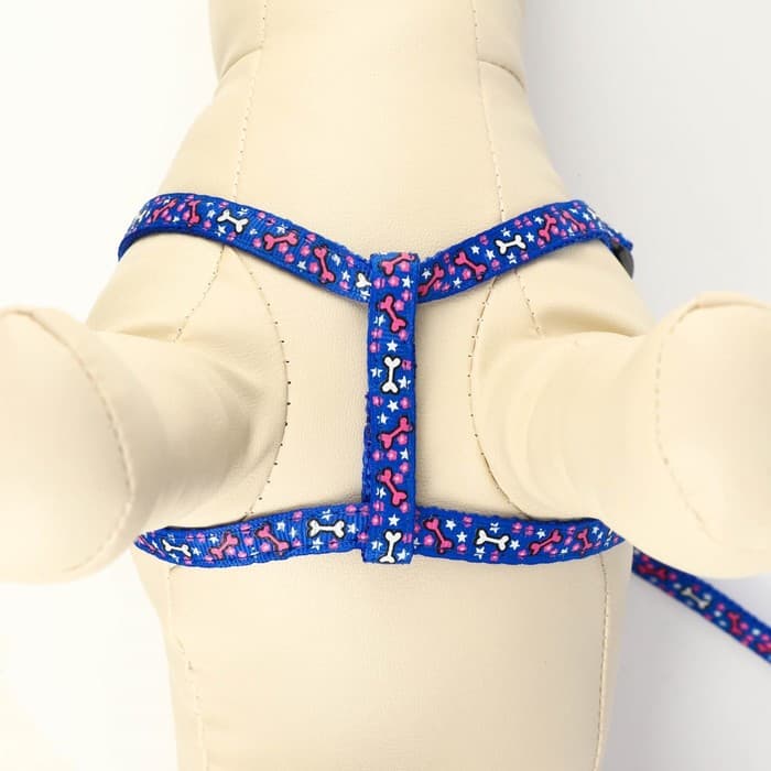 Шлейка с поводком «Звёздные косточки», 23-35 с, ширина 1 см, поводок 120 см, синяя