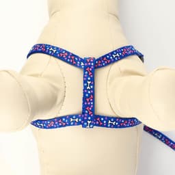 Шлейка с поводком «Звёздные косточки», 23-35 с, ширина 1 см, поводок 120 см, синяя