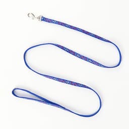 Шлейка с поводком «Звёздные косточки», 23-35 с, ширина 1 см, поводок 120 см, синяя