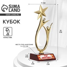 Кубок «Ты звезда», наградная фигура, золото, пластик, 18 см