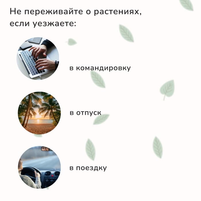Автополив для комнатных растений под бутылку, регулируемый, серый, из пластика, высота 16 см, 4 шт.