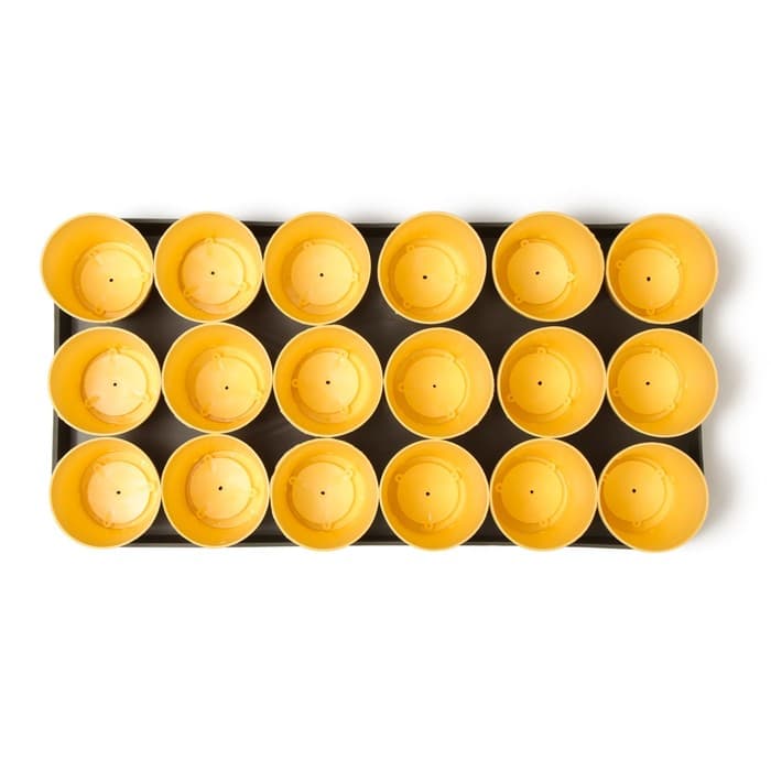 Набор для рассады: стаканы по 250 мл (18 шт.), поддон 40×20 см, цвет МИКС, Greengo