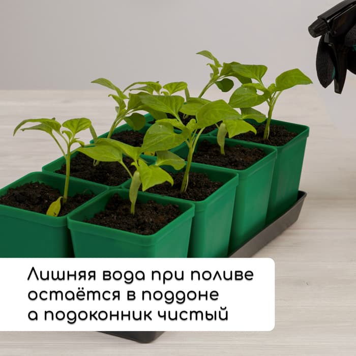 Набор для рассады: стаканы по 600 мл (8 шт.), поддон 36×18 см, цвет МИКС, Greengo