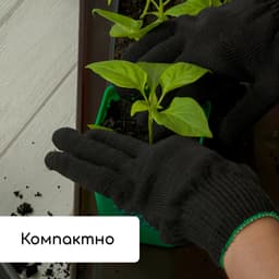 Набор для рассады: стаканы по 600 мл (8 шт.), поддон 36×18 см, цвет МИКС, Greengo