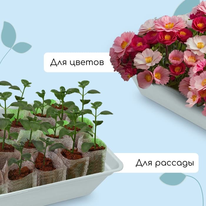 Ящик для рассады, 40×25×10 см, 5 л, пластик, МИКС, «Садовита 8»